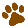 withyourdog website favicon